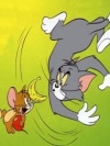 Tom And Jerry